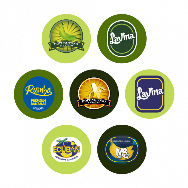 logos-pag2-2 logos-pag2-2